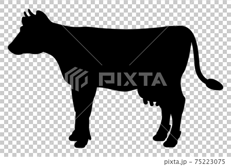 横から見た牛の全身イラスト 横から見た牛の全身イラスト 75223075