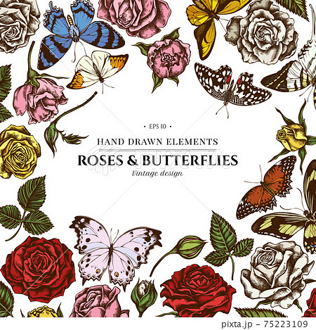 Floral design with colored menelaus blue morpho, giant swordtail, lemon butterfly, red lacewing Floral design with colored menelaus blue morpho, giant swordtail, lemon butterfly, red lacewing 75223109