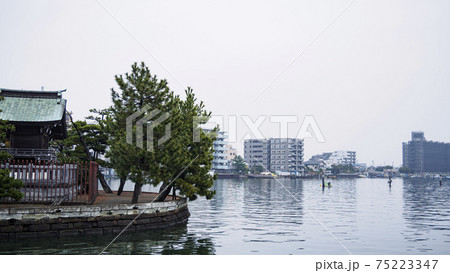 神奈川県横浜市金沢区平潟湾の春（早春） 75223347