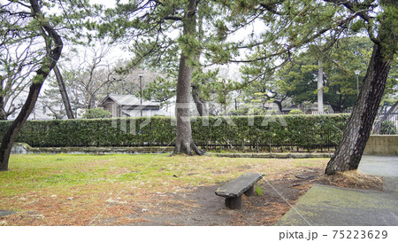 神奈川県横浜市金沢区旧伊藤博文別邸の早春 75223629