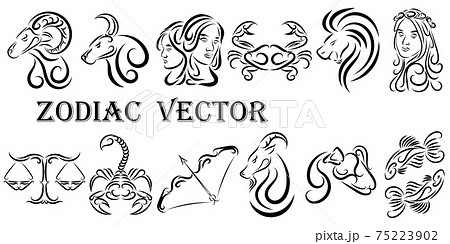 Vector graphic illustration of zodiac signs. All zodiac signs in line art concept: Aries; Taurus; Gemini; Cancer; Leo; Virgo; Libra; Scorpio; Sagittarius; Capricorn; Aquarius and Pisces. 75223902