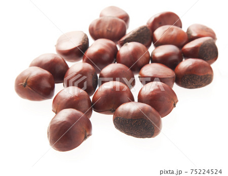 天津甘栗 75224524