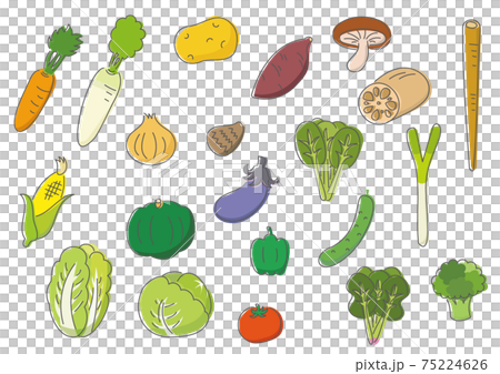 vegetable set 75224626