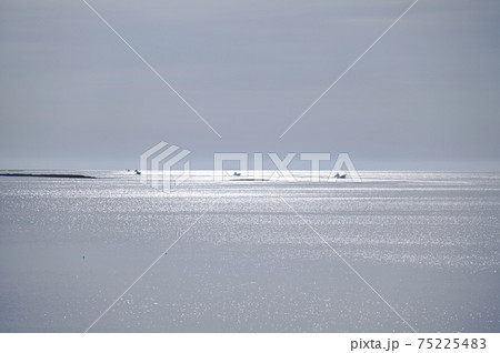 漁から戻ってきた漁船と輝く海 75225483