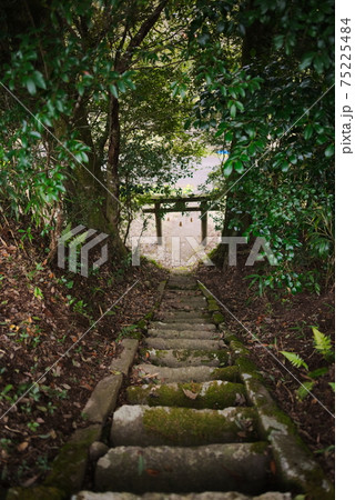 玖珠郡(九重町) 野倉神社 玖珠郡(九重町) 野倉神社 75225484