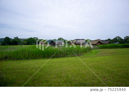 国東市(国東町) 弥生のムラ安国寺集落遺跡公園 国東市(国東町) 弥生のムラ安国寺集落遺跡公園 75225930