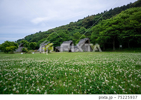 国東市(国東町) 弥生のムラ安国寺集落遺跡公園 国東市(国東町) 弥生のムラ安国寺集落遺跡公園 75225937