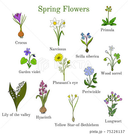 Spring flowers set 75226137