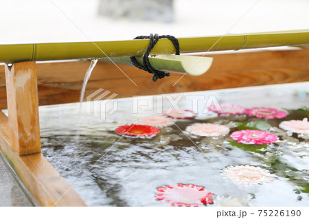 神社の手水舎に浮かんだ花 神社の手水舎に浮かんだ花 75226190