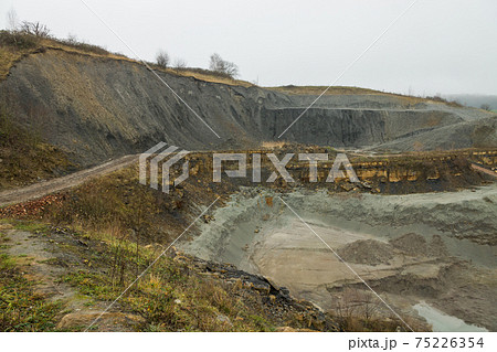 Frickの化石発掘地 75226354