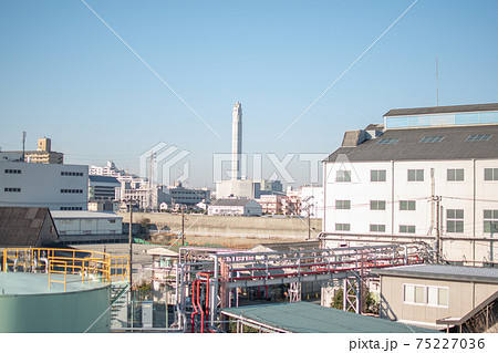 荒川土手からの風景/東京都足立区新田 荒川土手からの風景/東京都足立区新田 75227036