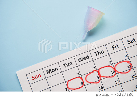 Calendar and menstrual cup. Woman critical days and hygiene protection Calendar and menstrual cup. Woman critical days and hygiene protection 75227236
