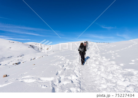 Three Hikers on a Snowy Footpath in Winter - Lessinia Plateau Veneto Italy Three Hikers on a Snowy Footpath in Winter - Lessinia Plateau Veneto Italy 75227434