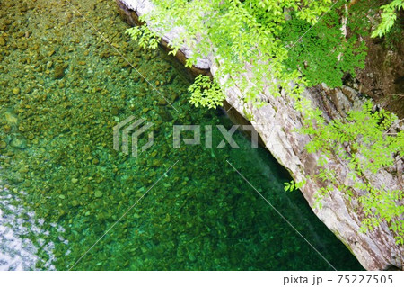 奈良県天川村　みたらい渓谷（山上川） 75227505