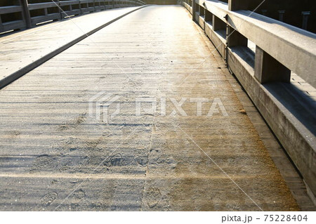 朝の宇治橋 75228404