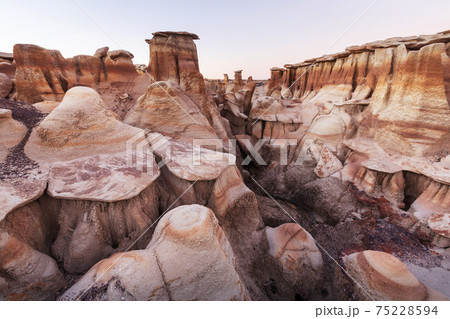 Bisti 75228594