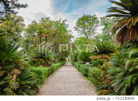 Orto botanico di Pisa botanical garden in Pisa Tuscany Italy 75228800