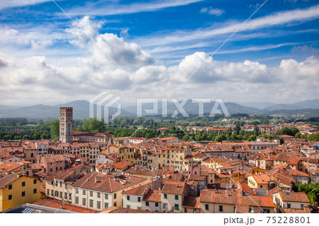 Lucca old town rooftop cityscape Tuscany Italy Lucca old town rooftop cityscape Tuscany Italy 75228801