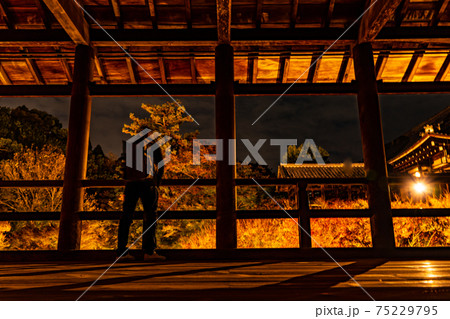夜間特別拝観　秋の東福寺 75229795
