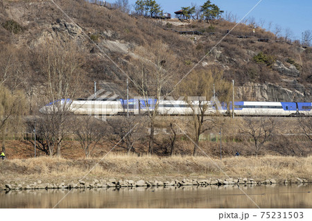 山 精子 列車 75231503