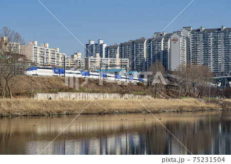 風景 精子 列車 75231504