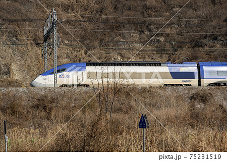精子 冬 列車 75231519