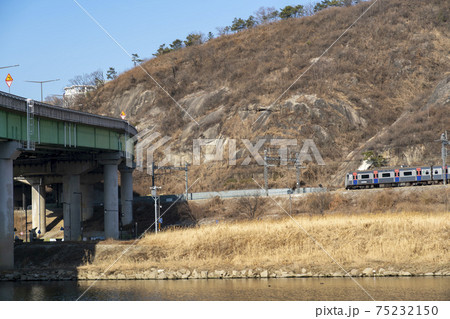 木 空 城東区 75232150