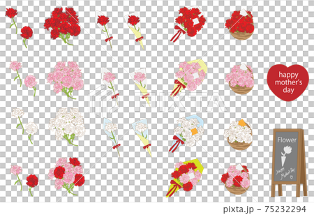 母親節康乃馨材料套裝 75232294