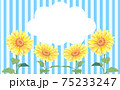 ひまわりとストライプの背景素材 75233247