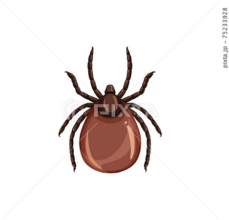 Tick insect, pest control, parasites extermination 75233928