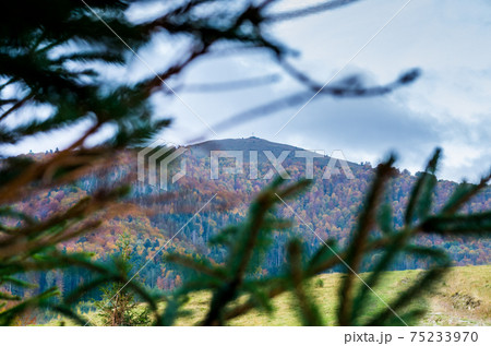 View of the mountains from under the branches. View of the mountains from under the branches. 75233970
