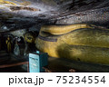 世界遺産　ダンブッラの黄金寺院 75234554