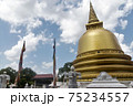 世界遺産　ダンブッラの黄金寺院 75234557