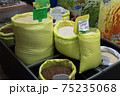 スリランカ　スーパーマーケット 75235068