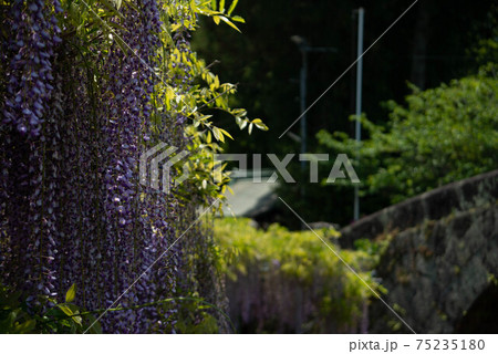 大分市 西寒田神社 大分市 西寒田神社 75235180