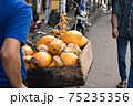 スリランカ　ヤシの実 75235356