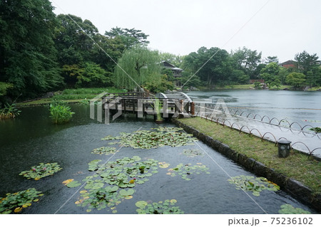 徳川園の龍仙湖散歩 徳川園の龍仙湖散歩 75236102
