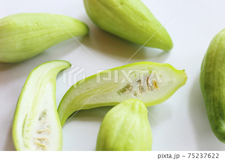 アチョチャ アチョチャ 75237622