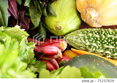 沖縄県産 島野菜集合 75237629