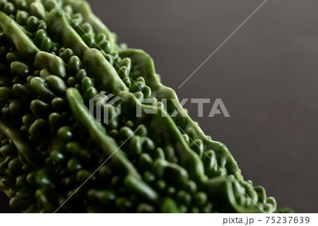 ゴーヤー 75237639