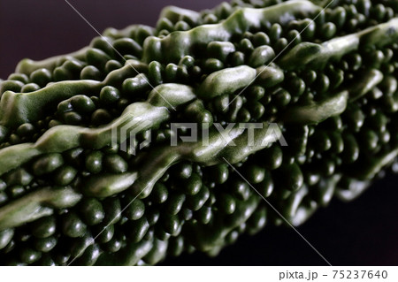 ゴーヤー 75237640