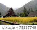 のどかな五箇山の古民家風景 75237749