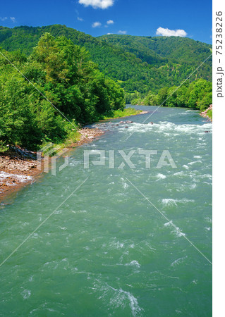 mountain river scenery on a sunny day. beautiful views of carpathian nature landscape in fine summer weather with blue sky and fluffy clouds mountain river scenery on a sunny day. beautiful views of carpathian nature landscape in fine summer weather with blue sky and fluffy clouds 75238226