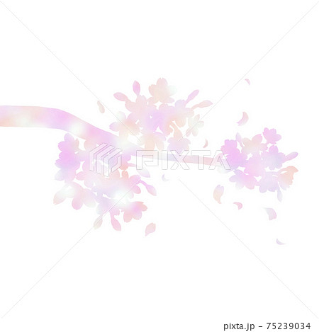 桜 枝 枝桜 美しい 幻想的 シルエット ピンクのイラスト素材