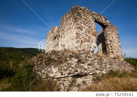 Ruins of castle on Black Mountain in Vinogradovo, Transcarpathian, Ukraine Ruins of castle on Black Mountain in Vinogradovo, Transcarpathian, Ukraine 75239101