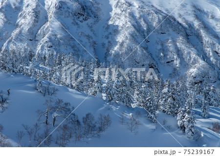 北海道　十勝岳連峰の冬の風景 75239167