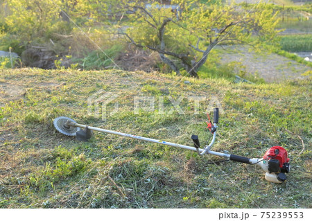 草刈り機（エンジン式草刈機　エンジン式チップソータイプ） 75239553