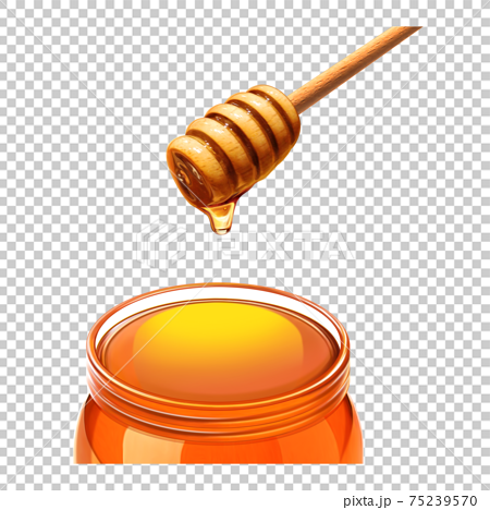 Honey Illustration Honey Dipper Real Stock Illustration