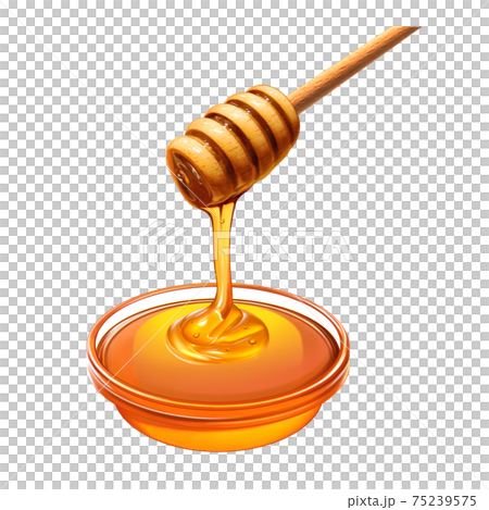 はちみつ イラスト ハニーディッパー リアル 75239575