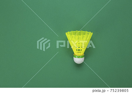 Badminton shuttlecock on a green background. Minimalism. Concept summer entertainment. Sport games. 75239805